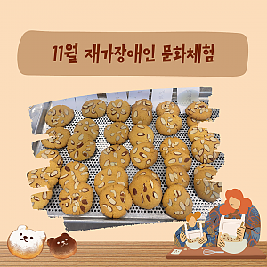 11월 재가장애인 문화체험